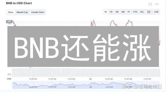 BNB还能涨？2024币安币价格走势终极预测！