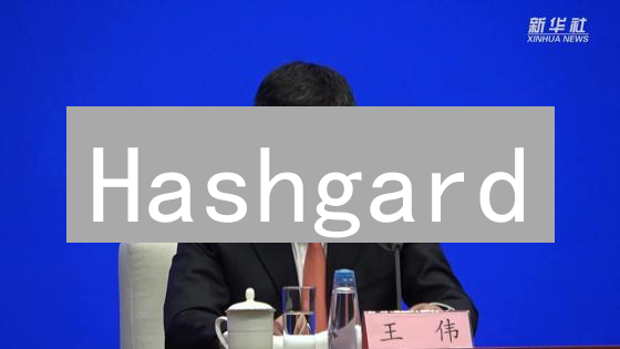 Hashgard：数字金融的未来基石？深度剖析公链潜力！