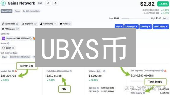 UBXS币：现在入场，暴富or血本无归？深度风险揭秘！